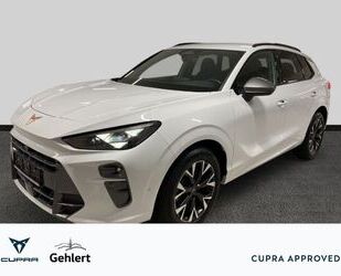 Cupra Terramar Gebrauchtwagen