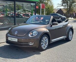 VW Beetle Gebrauchtwagen