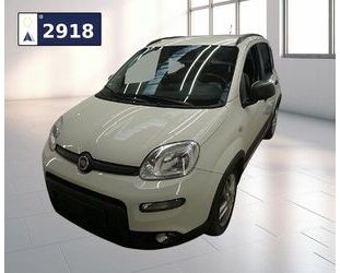 Fiat Panda Gebrauchtwagen