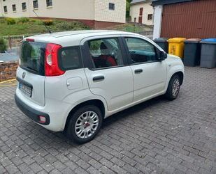 Fiat Panda Gebrauchtwagen