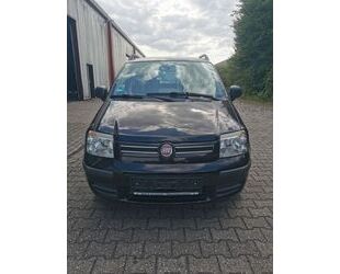Fiat Panda Gebrauchtwagen