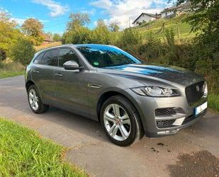 Jaguar F-Pace Gebrauchtwagen