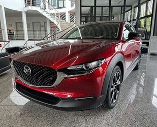 Mazda CX-30 Gebrauchtwagen