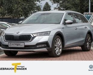 Skoda Octavia Gebrauchtwagen