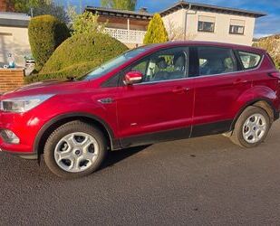 Ford Kuga Gebrauchtwagen