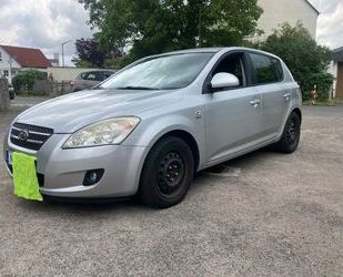 Kia ceed / Ceed Gebrauchtwagen