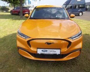 Ford Mustang Mach-E Gebrauchtwagen