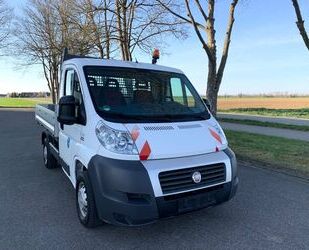 Fiat Ducato Gebrauchtwagen