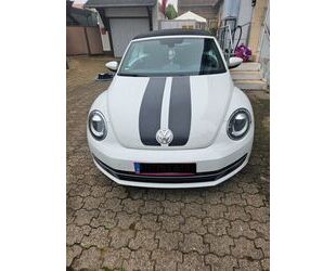 VW Beetle Gebrauchtwagen