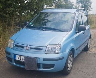 Fiat Panda Gebrauchtwagen