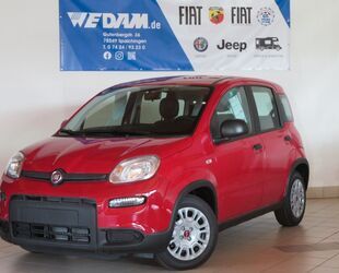 Fiat Panda Gebrauchtwagen