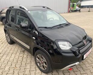 Fiat Panda Gebrauchtwagen