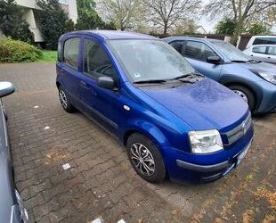 Fiat Panda Gebrauchtwagen