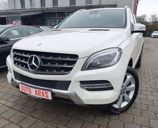 Mercedes-Benz ML 250 Gebrauchtwagen
