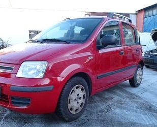Fiat Panda Gebrauchtwagen