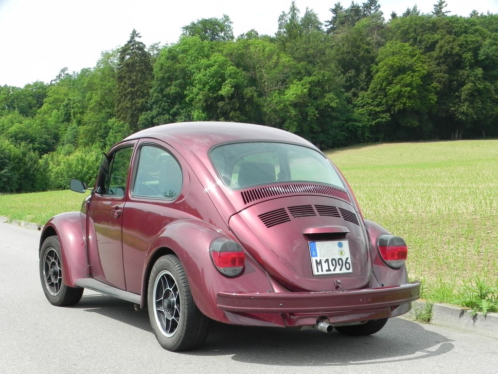 Bild 1