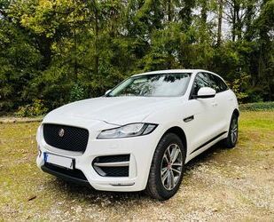 Jaguar F-Pace Gebrauchtwagen