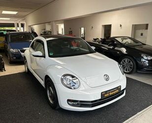 VW Beetle Gebrauchtwagen