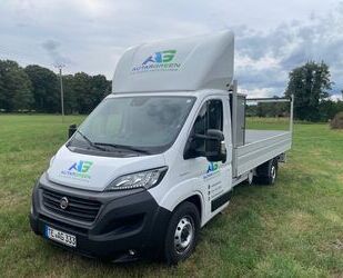 Fiat Ducato Gebrauchtwagen