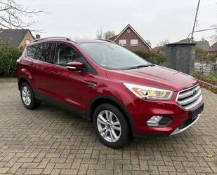 Ford Kuga Gebrauchtwagen