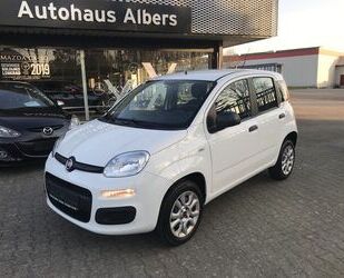 Fiat Panda Gebrauchtwagen