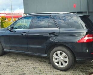 Mercedes-Benz ML 350 Gebrauchtwagen