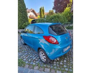 Ford Ka/Ka+ Gebrauchtwagen