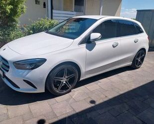 Mercedes-Benz B 250 Gebrauchtwagen