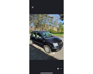 Fiat Panda Gebrauchtwagen