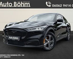 Ford Mustang Mach-E Gebrauchtwagen