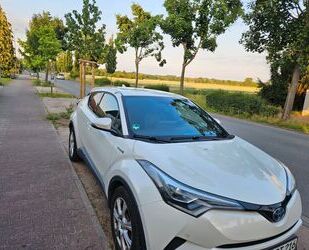 Toyota C-HR Gebrauchtwagen