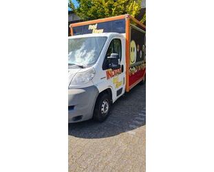 Fiat Ducato Gebrauchtwagen