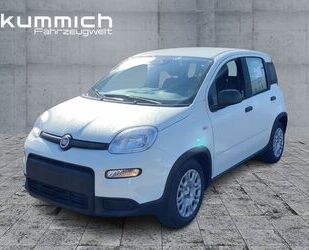 Fiat Panda Gebrauchtwagen