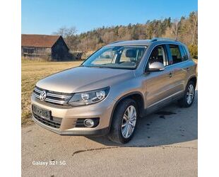 VW Tiguan Gebrauchtwagen