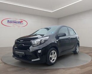 Kia Picanto Gebrauchtwagen