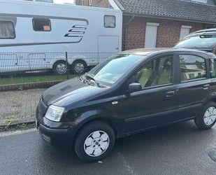 Fiat Panda Gebrauchtwagen