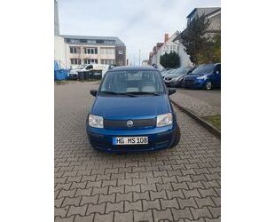 Fiat Panda Gebrauchtwagen