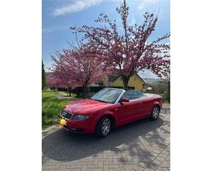 Audi Cabriolet Gebrauchtwagen
