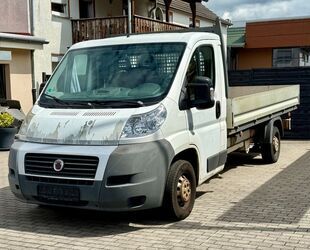 Fiat Ducato Gebrauchtwagen