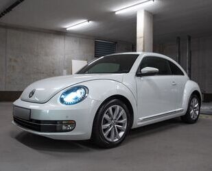 VW Beetle Gebrauchtwagen