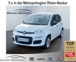 Fiat Panda Gebrauchtwagen