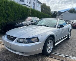 Ford Mustang Gebrauchtwagen