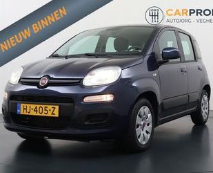 Fiat Panda Gebrauchtwagen