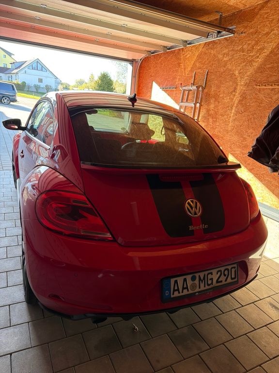 Bild 1
