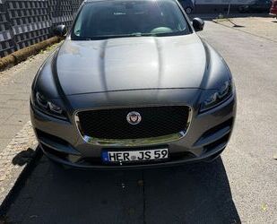 Jaguar F-Pace Gebrauchtwagen