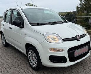 Fiat Panda Gebrauchtwagen