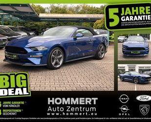 Ford Mustang Gebrauchtwagen