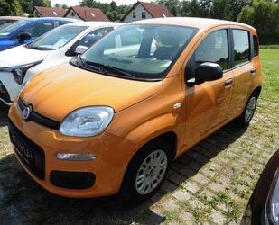 Fiat Panda Gebrauchtwagen