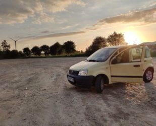 Fiat Panda Gebrauchtwagen