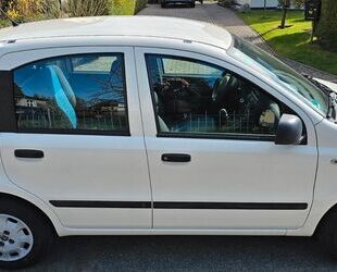 Fiat Panda Gebrauchtwagen